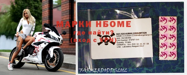 винт Алзамай
