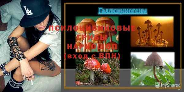 МДМА Алексеевка