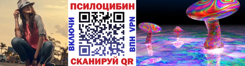 купить наркотик Новошахтинск Галлюциногенные грибы Cubensis