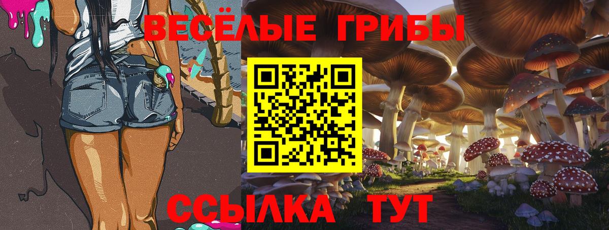 Галлюциногенные грибы мицелий  Псилоцибиновые грибы Magic Shrooms  как найти закладки  Вход с VPN  Новошахтинск 